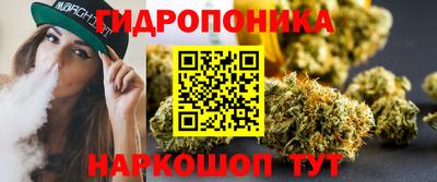 спиды Камышлов