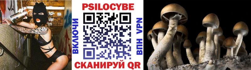 Псилоцибиновые грибы ЛСД  shop формула  Муром 