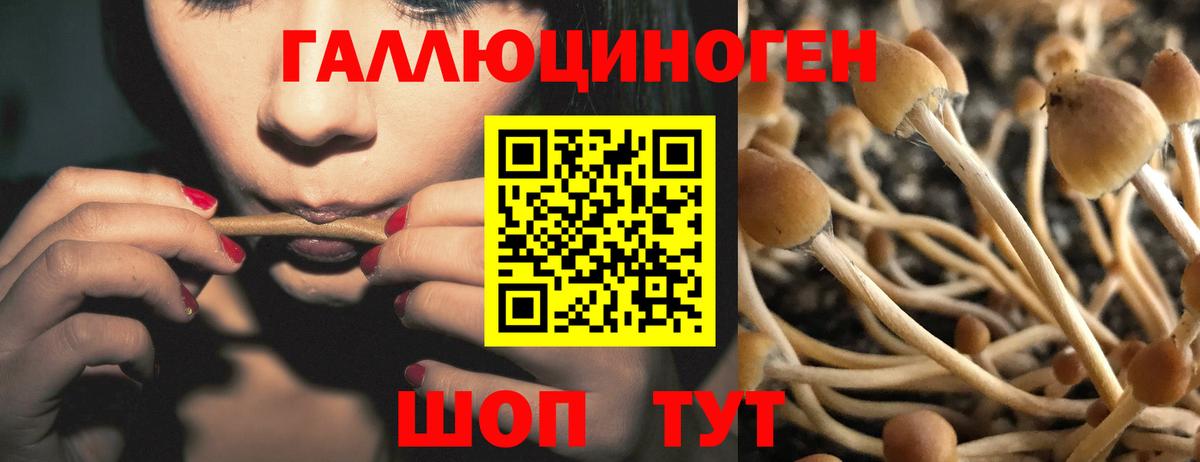 Псилоцибиновые грибы мицелий Муром