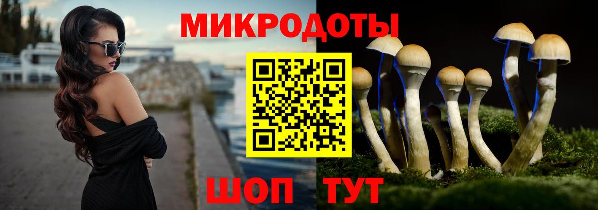 Муром  где можно купить   Вход с VPN  Галлюциногенные грибы MAGIC MUSHROOMS 